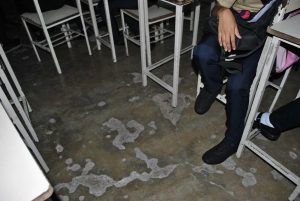 galeria3